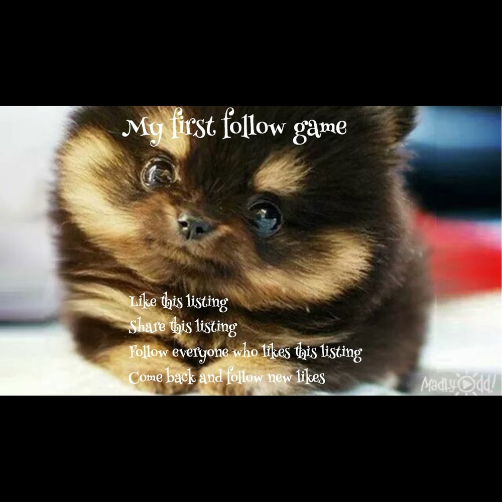 LOTS OF NEW BLUE FOLLOWS📫👍 C’mon Ya’ll👀